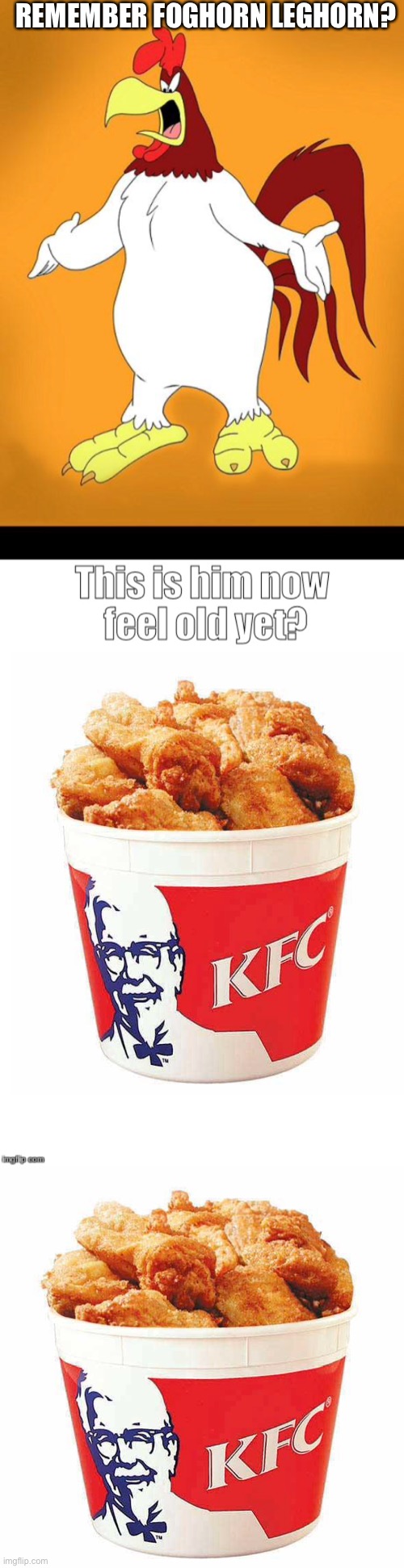 Feeling old yet? |  REMEMBER FOGHORN LEGHORN? | image tagged in foghorn leghorn,this is him now feel old yet,kfc bucket | made w/ Imgflip meme maker