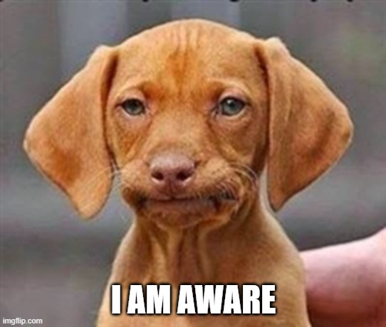 Frustrated dog | I AM AWARE | image tagged in frustrated dog | made w/ Imgflip meme maker