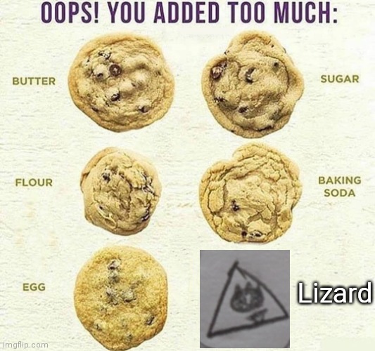 Oops, You Added Too Much | Lizard | image tagged in oops you added too much | made w/ Imgflip meme maker