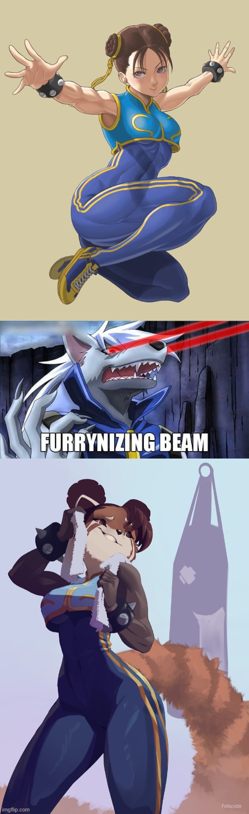 By feliscede (mode note:the furrynizing beam is getting annoying) | image tagged in furrynizing beam,chun li,street fighter,memes,furry,thighs | made w/ Imgflip meme maker