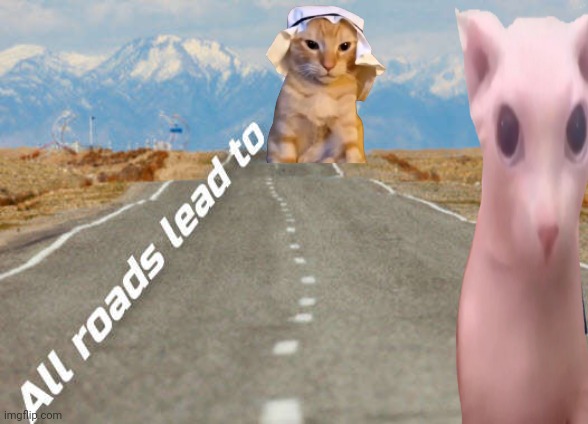 Habibi cat | image tagged in all roads lead to putin | made w/ Imgflip meme maker