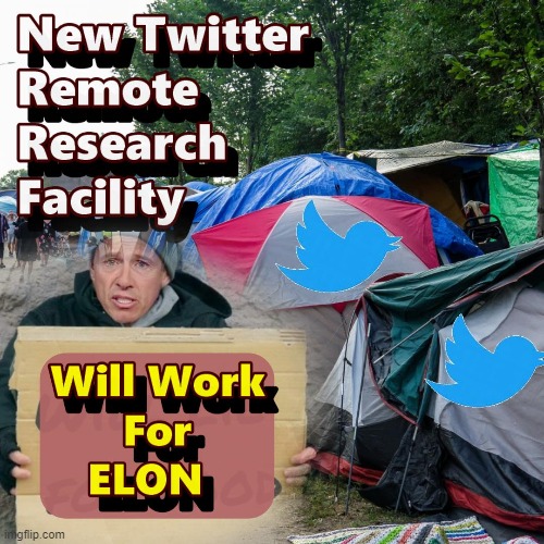 Twitter Expanding Offices as Elon Collects Stock | image tagged in twitter,elon musk,homeless,memes | made w/ Imgflip meme maker