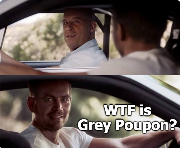 WTF is Grey Poupon? | image tagged in grey poupon | made w/ Imgflip meme maker