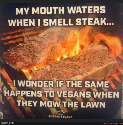 Just curious... | image tagged in vegan,grass,food | made w/ Imgflip meme maker