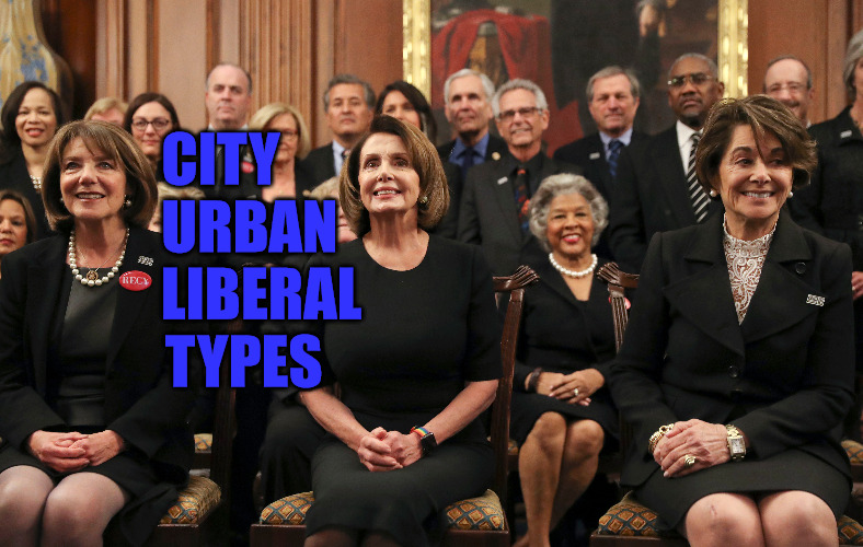 C.U.L.T. | CITY
     URBAN
       LIBERAL
    TYPES | image tagged in democrats | made w/ Imgflip meme maker