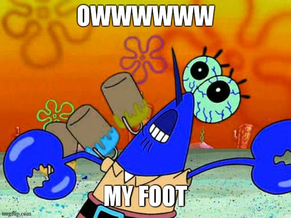 oww my [dolphin noise] foot | OWWWWWW MY FOOT | image tagged in oww my dolphin noise foot | made w/ Imgflip meme maker