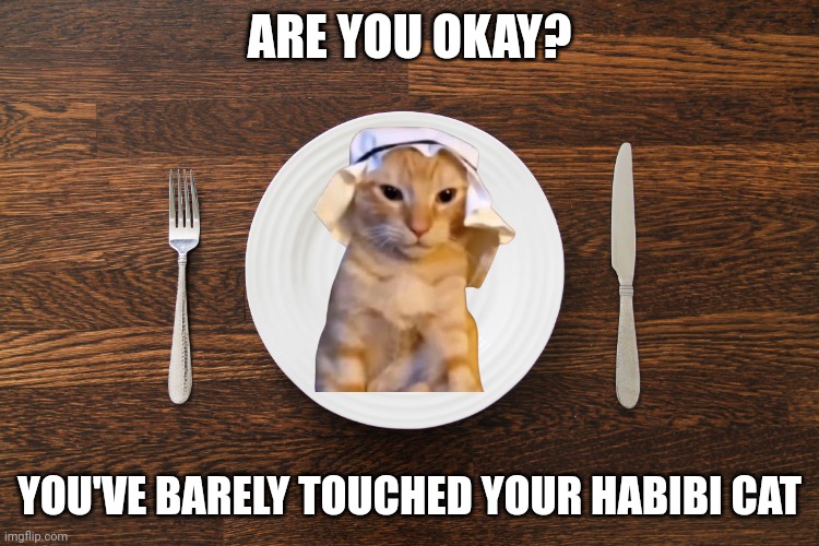Habibi | ARE YOU OKAY? YOU'VE BARELY TOUCHED YOUR HABIBI CAT | image tagged in empty plate | made w/ Imgflip meme maker