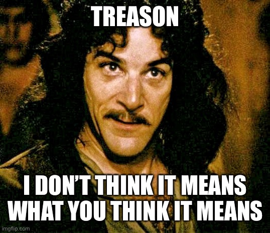 I don't think it means what you think it means | TREASON I DON’T THINK IT MEANS WHAT YOU THINK IT MEANS | image tagged in i don't think it means what you think it means | made w/ Imgflip meme maker