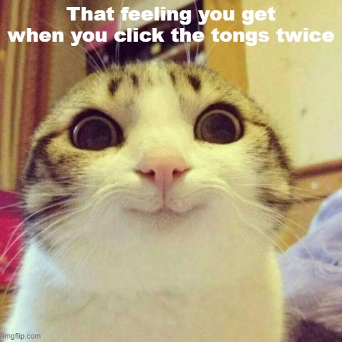 :) | That feeling you get when you click the tongs twice | image tagged in memes,smiling cat | made w/ Imgflip meme maker