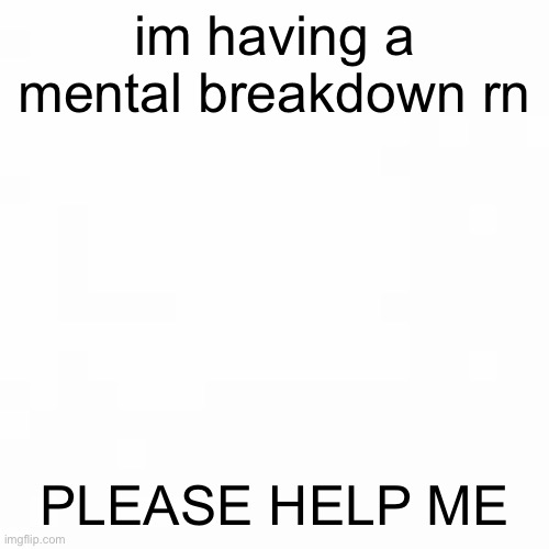 blank | im having a mental breakdown rn; PLEASE HELP ME | image tagged in blank | made w/ Imgflip meme maker