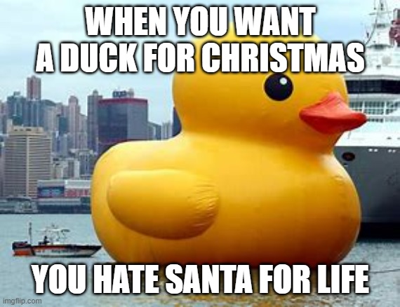 DUCK | WHEN YOU WANT A DUCK FOR CHRISTMAS; YOU HATE SANTA FOR LIFE | image tagged in funny memes | made w/ Imgflip meme maker