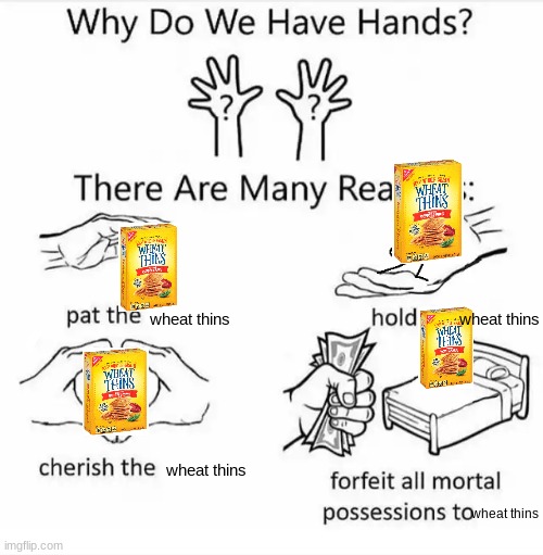 W H E A T T H I N S Imgflip