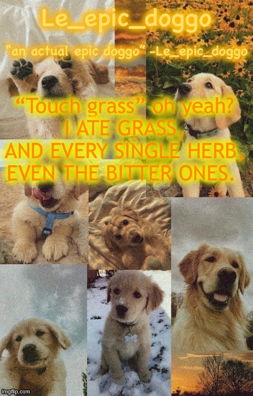 Doggo temp by doggo. Wait what that’s confusing | “Touch grass” oh yeah?
I ATE GRASS, AND EVERY SINGLE HERB, EVEN THE BITTER ONES. | image tagged in doggo temp by doggo wait what that s confusing | made w/ Imgflip meme maker