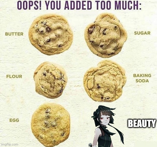 Oops, You Added Too Much | BEAUTY | image tagged in oops you added too much | made w/ Imgflip meme maker