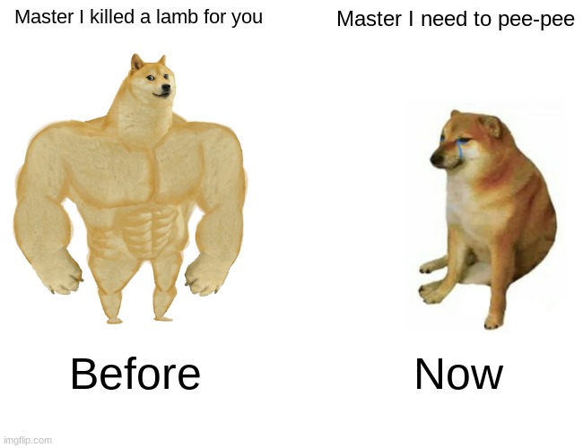 Pee pee memes | Master I killed a lamb for you; Master I need to pee-pee; Before; Now | image tagged in memes,buff doge vs cheems | made w/ Imgflip meme maker