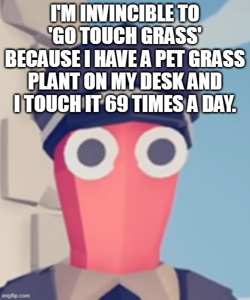 TABS Stare | I'M INVINCIBLE TO 'GO TOUCH GRASS' BECAUSE I HAVE A PET GRASS PLANT ON MY DESK AND I TOUCH IT 69 TIMES A DAY. | image tagged in tabs stare | made w/ Imgflip meme maker