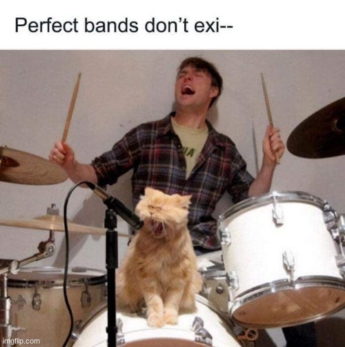 Pawfect band | image tagged in cats,memes,funny,cute,animals,music | made w/ Imgflip meme maker