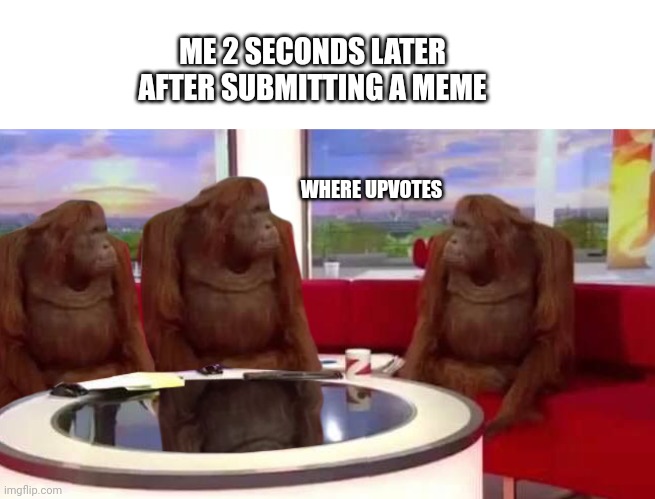Monke |  ME 2 SECONDS LATER AFTER SUBMITTING A MEME; WHERE UPVOTES | image tagged in where monkey,monke | made w/ Imgflip meme maker