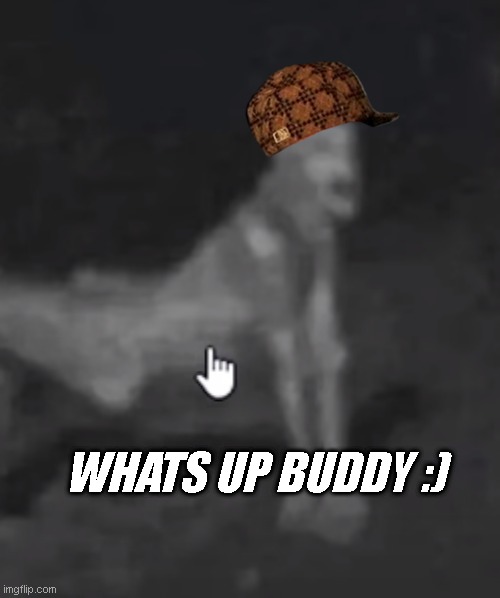 skinni | WHATS UP BUDDY :) | image tagged in skinni | made w/ Imgflip meme maker