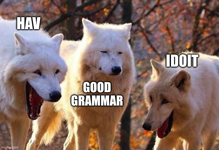 Laughing wolf | HAV GOOD GRAMMAR IDOIT | image tagged in laughing wolf | made w/ Imgflip meme maker