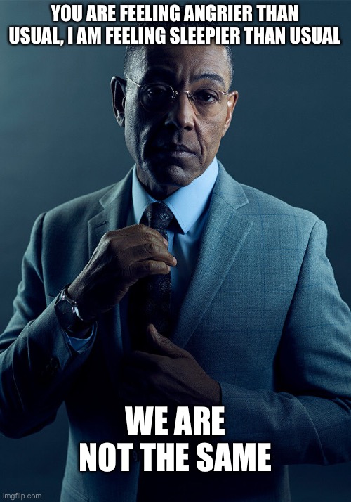 Gus Fring we are not the same | YOU ARE FEELING ANGRIER THAN USUAL, I AM FEELING SLEEPIER THAN USUAL WE ARE NOT THE SAME | image tagged in gus fring we are not the same | made w/ Imgflip meme maker