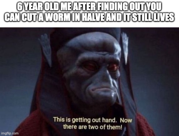 Its so weird! | 6 YEAR OLD ME AFTER FINDING OUT YOU CAN CUT A WORM IN HALVE AND IT STILL LIVES | image tagged in this is getting out of hand,funny,memes,fun,worms | made w/ Imgflip meme maker