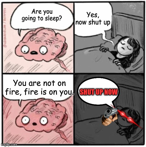 Ever think of that? | Yes, now shut up; Are you going to sleep? You are not on fire, fire is on you. SHUT UP NOW | image tagged in brain before sleep | made w/ Imgflip meme maker
