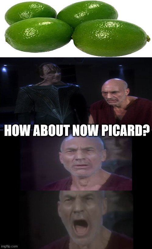 There are 4 limes |  HOW ABOUT NOW PICARD? | image tagged in 4 lights,star trek the next generation | made w/ Imgflip meme maker