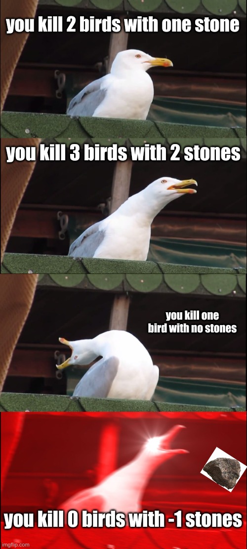 s t o n e |  you kill 2 birds with one stone; you kill 3 birds with 2 stones; you kill one bird with no stones; you kill 0 birds with -1 stones | image tagged in memes,inhaling seagull,stoned | made w/ Imgflip meme maker