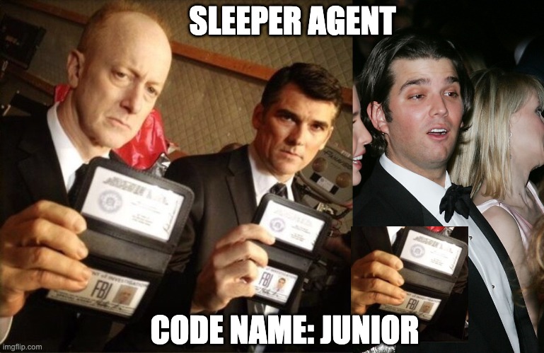 Did the FBI carry out 1/6 through a deep-cover mole close to 45? RP fanfic, AU | SLEEPER AGENT; CODE NAME: JUNIOR | image tagged in fbi,donald trump junior high as a kite,spy,insurrection | made w/ Imgflip meme maker