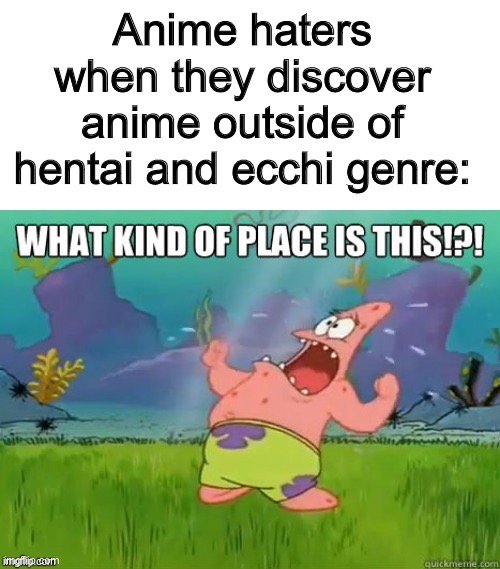 What kind of place is this? | Anime haters when they discover anime outside of hentai and ecchi genre: | image tagged in what kind of place is this,ill admit some of them are cringe but thats only a few | made w/ Imgflip meme maker