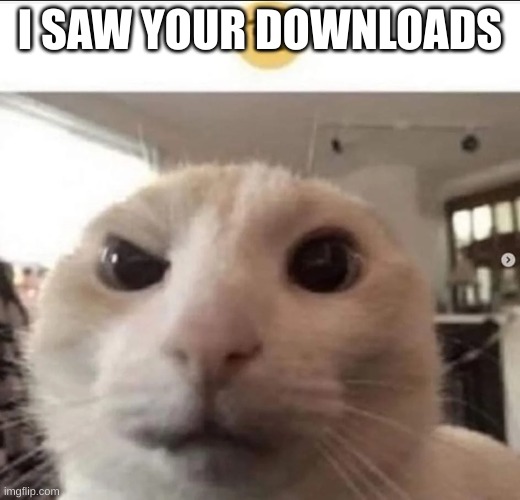 Raised eyebrow cat | I SAW YOUR DOWNLOADS | image tagged in raised eyebrow cat | made w/ Imgflip meme maker