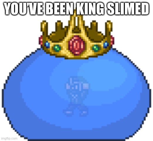 You’ve been king slimed |  YOU’VE BEEN KING SLIMED | image tagged in trolled,terraria,king slime,king slimed | made w/ Imgflip meme maker