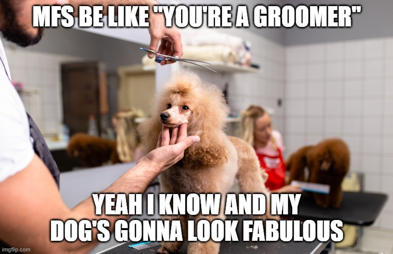 idk | MFS BE LIKE "YOU'RE A GROOMER"; YEAH I KNOW AND MY DOG'S GONNA LOOK FABULOUS | made w/ Imgflip meme maker