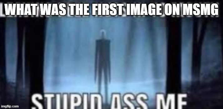 copypasta 1 | WHAT WAS THE FIRST IMAGE ON MSMG | image tagged in copypasta 1 | made w/ Imgflip meme maker