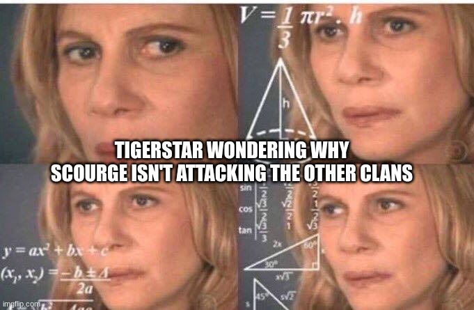 Tigerstars confusion | TIGERSTAR WONDERING WHY SCOURGE ISN'T ATTACKING THE OTHER CLANS | image tagged in math lady/confused lady,warriors,warrior cats,warrior cats meme | made w/ Imgflip meme maker