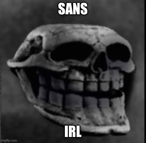 Aaaaaa | SANS; IRL | image tagged in sans,skull,weird,help me,wtf,cursed image | made w/ Imgflip meme maker