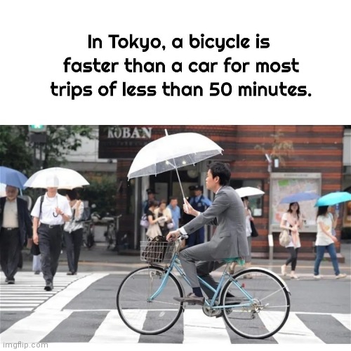 Terrible congestion | image tagged in bike,traffic,city | made w/ Imgflip meme maker