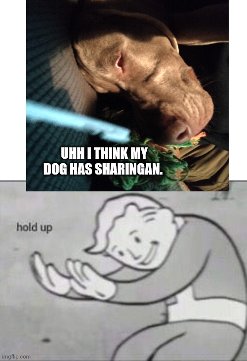 Oh God this is not good. | UHH I THINK MY DOG HAS SHARINGAN. | image tagged in fallout hold up,hold up wait a minute something aint right,doge | made w/ Imgflip meme maker