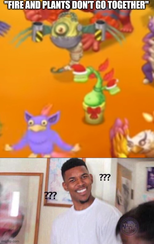 What- | "FIRE AND PLANTS DON'T GO TOGETHER" | image tagged in black guy confused,my singing monsters | made w/ Imgflip meme maker