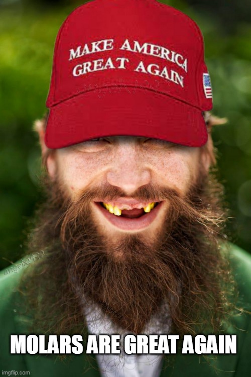 when guys grow beards to distract from their bad teeth- molars are great again | MOLARS ARE GREAT AGAIN | image tagged in magats,molars,teeth,clown car republicans,dental,republicants | made w/ Imgflip meme maker