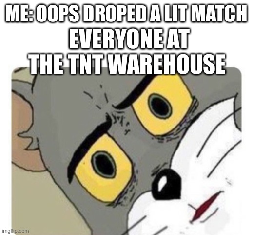 Oh boy… | ME: OOPS DROPED A LIT MATCH; EVERYONE AT THE TNT WAREHOUSE | image tagged in shocked tom | made w/ Imgflip meme maker