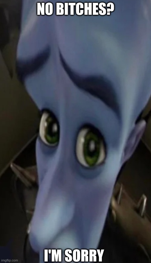 Megamind peeking | NO BITCHES? I'M SORRY | image tagged in no bitches | made w/ Imgflip meme maker