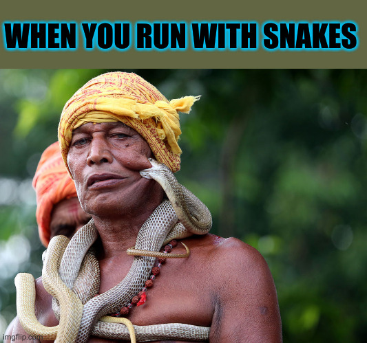 Xylophone | WHEN YOU RUN WITH SNAKES | image tagged in snake biting man | made w/ Imgflip meme maker