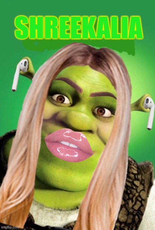 It's time to stop | SHREEKALIA | image tagged in its time to stop,shrek,cursed image,nononono | made w/ Imgflip meme maker