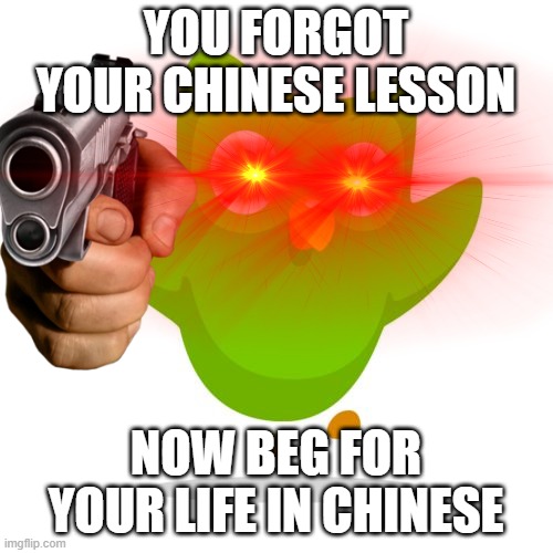 i left duolingo for 1 year | YOU FORGOT YOUR CHINESE LESSON; NOW BEG FOR YOUR LIFE IN CHINESE | image tagged in duolingo gun | made w/ Imgflip meme maker