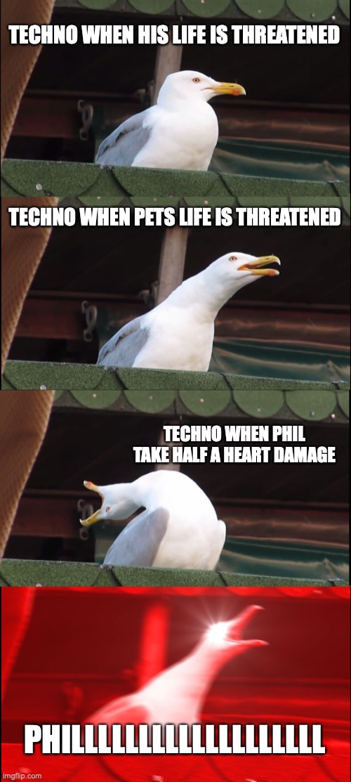 Inhaling Seagull | TECHNO WHEN HIS LIFE IS THREATENED; TECHNO WHEN PETS LIFE IS THREATENED; TECHNO WHEN PHIL TAKE HALF A HEART DAMAGE; PHILLLLLLLLLLLLLLLLLLL | image tagged in memes,inhaling seagull | made w/ Imgflip meme maker