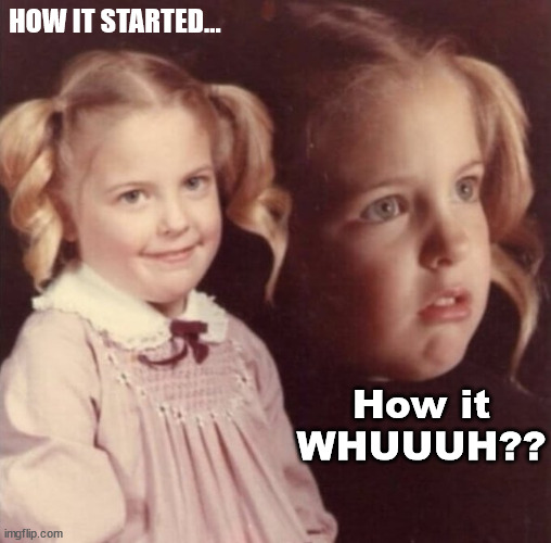 How It Whuuuhh | HOW IT STARTED... How it
WHUUUH?? | image tagged in nurp girl | made w/ Imgflip meme maker