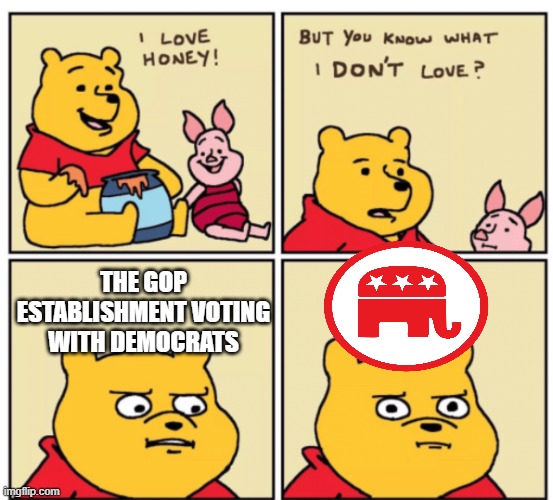 Winnie the Pooh but you know what I don’t like | THE GOP ESTABLISHMENT VOTING WITH DEMOCRATS | image tagged in winnie the pooh but you know what i don t like | made w/ Imgflip meme maker