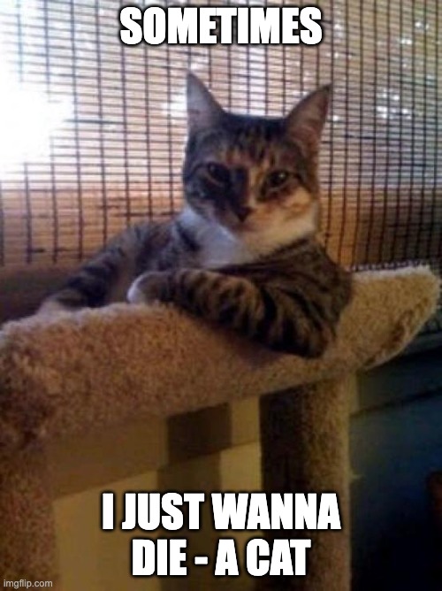 The Most Interesting Cat In The World |  SOMETIMES; I JUST WANNA DIE - A CAT | image tagged in memes,the most interesting cat in the world | made w/ Imgflip meme maker
